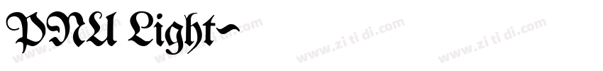 PNU Light字体转换